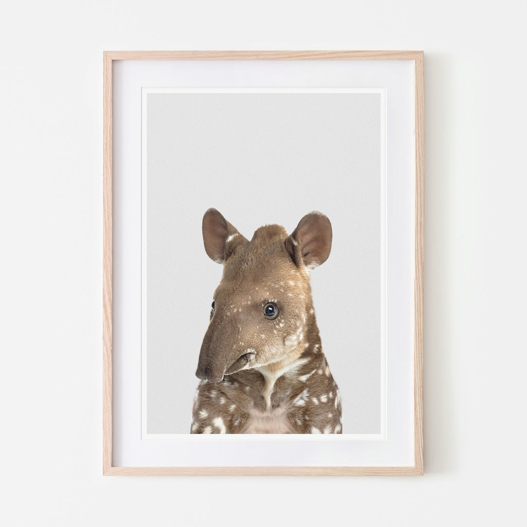 art print of a baby tapir