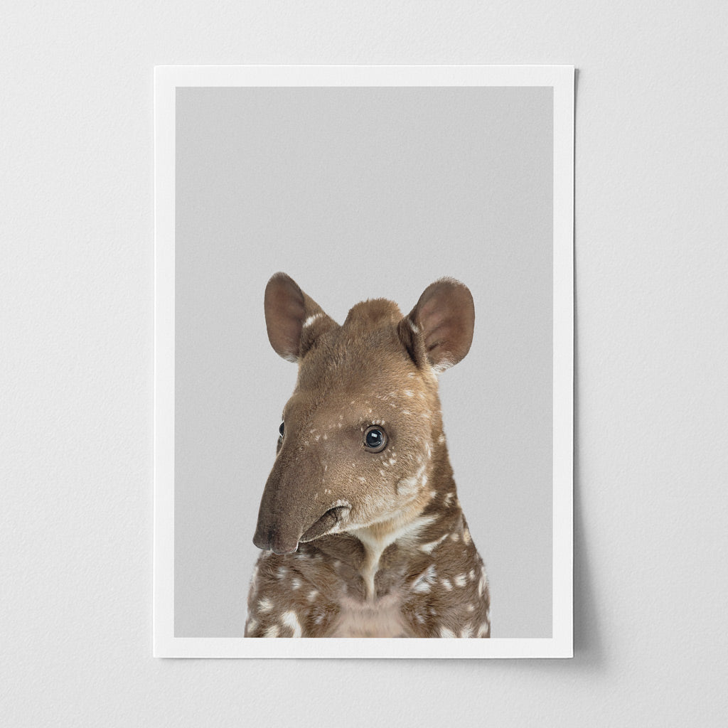 Baby Tapir Nursery Print - Jungle Animal Art for Baby Rooms