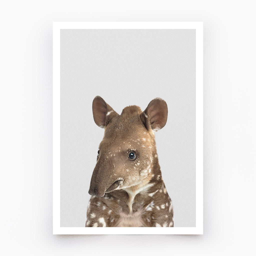 Baby Tapir Art Print