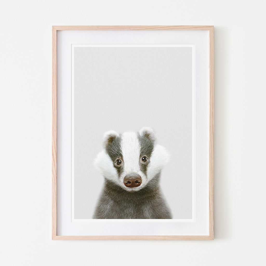 art print of a badger