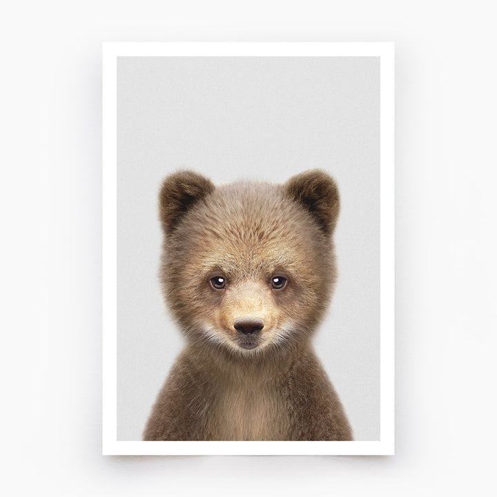 Brown Bear Cub Art Print