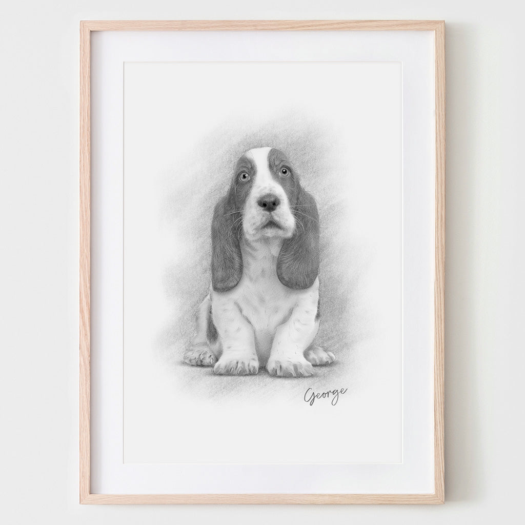 Custom Pet Portrait From Your Photos – Black & White