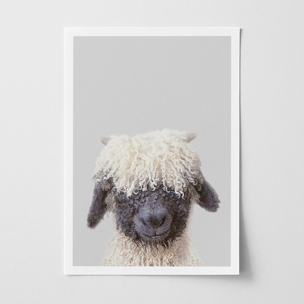 Black Nose Sheep Nursery Print - Cute Farmyard Animal Art for Nurseries