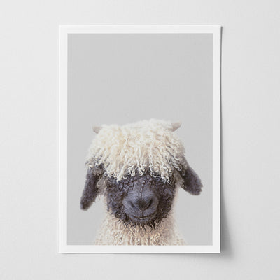 Black Nose Sheep Nursery Print - Cute Farmyard Animal Art for Nurseries