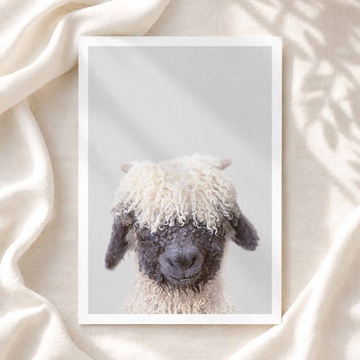 Black Nose Sheep - Nursery Animal Print