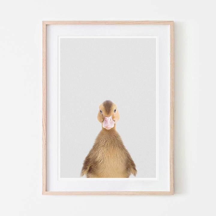 an art print of a brown duckling