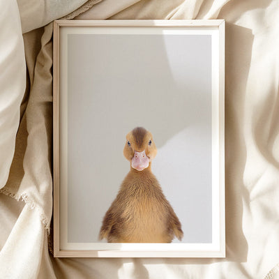 Brown Duckling Nursery Print - Cute Farmyard Bird Print for Kids’ Rooms