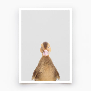 Brown Duckling Art Print