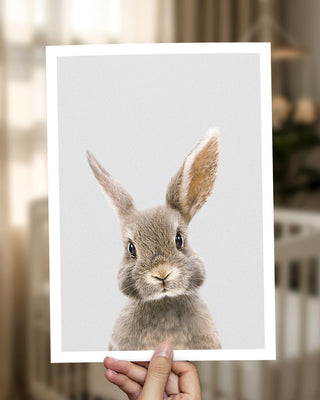 Brown Rabbit Art Print