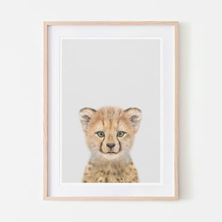 an art print of a cheetah cub