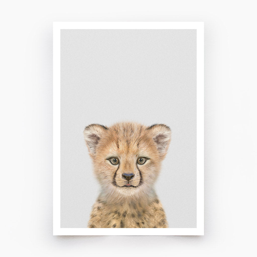 Baby Cheetah Art Print