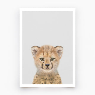 Baby Cheetah Art Print