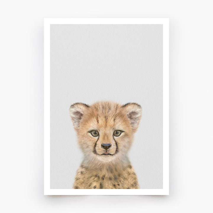 Baby Cheetah Art Print