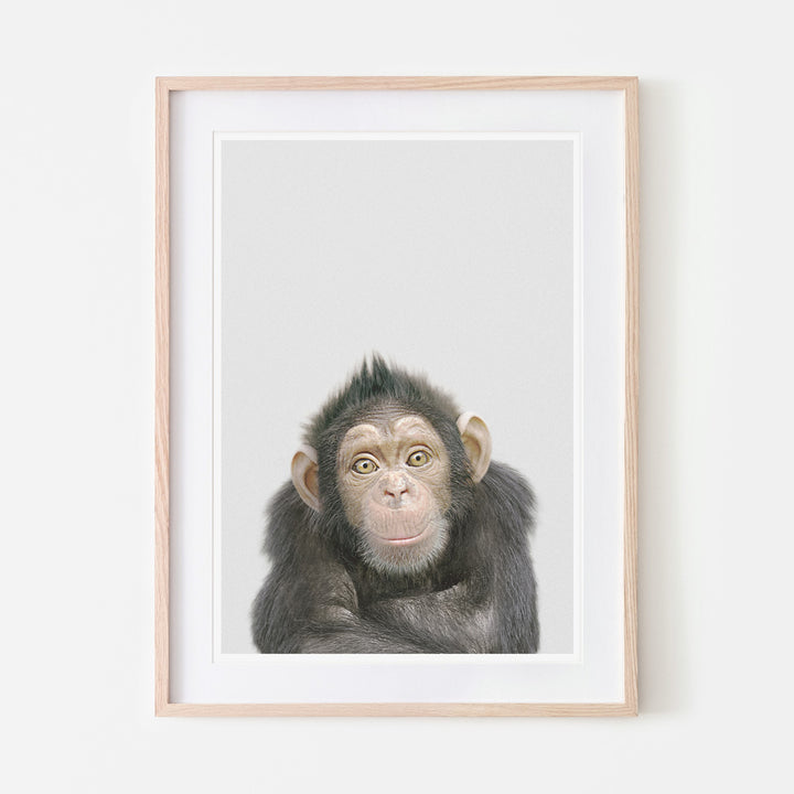 an art print of a chimpanzee