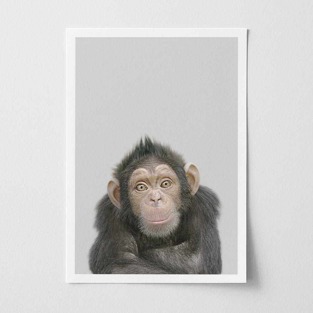 Chimpanzee Nursery Print - Cheeky Jungle Animal Wall Art for Children