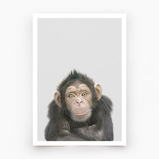 Chimpanzee Art Print