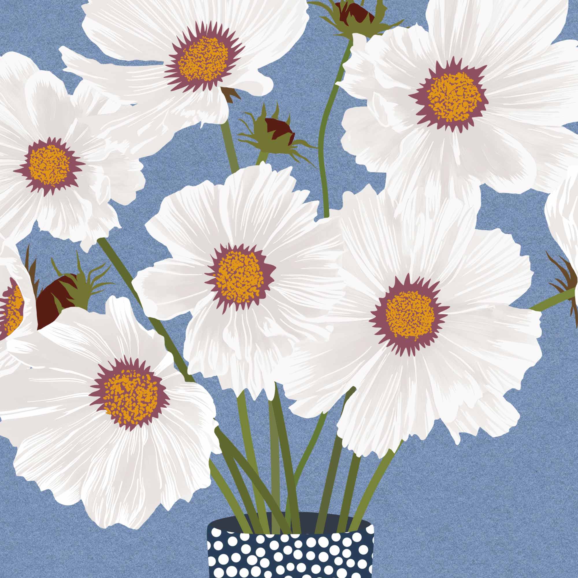 Cosmos Flowers | Modern Floral Art Print