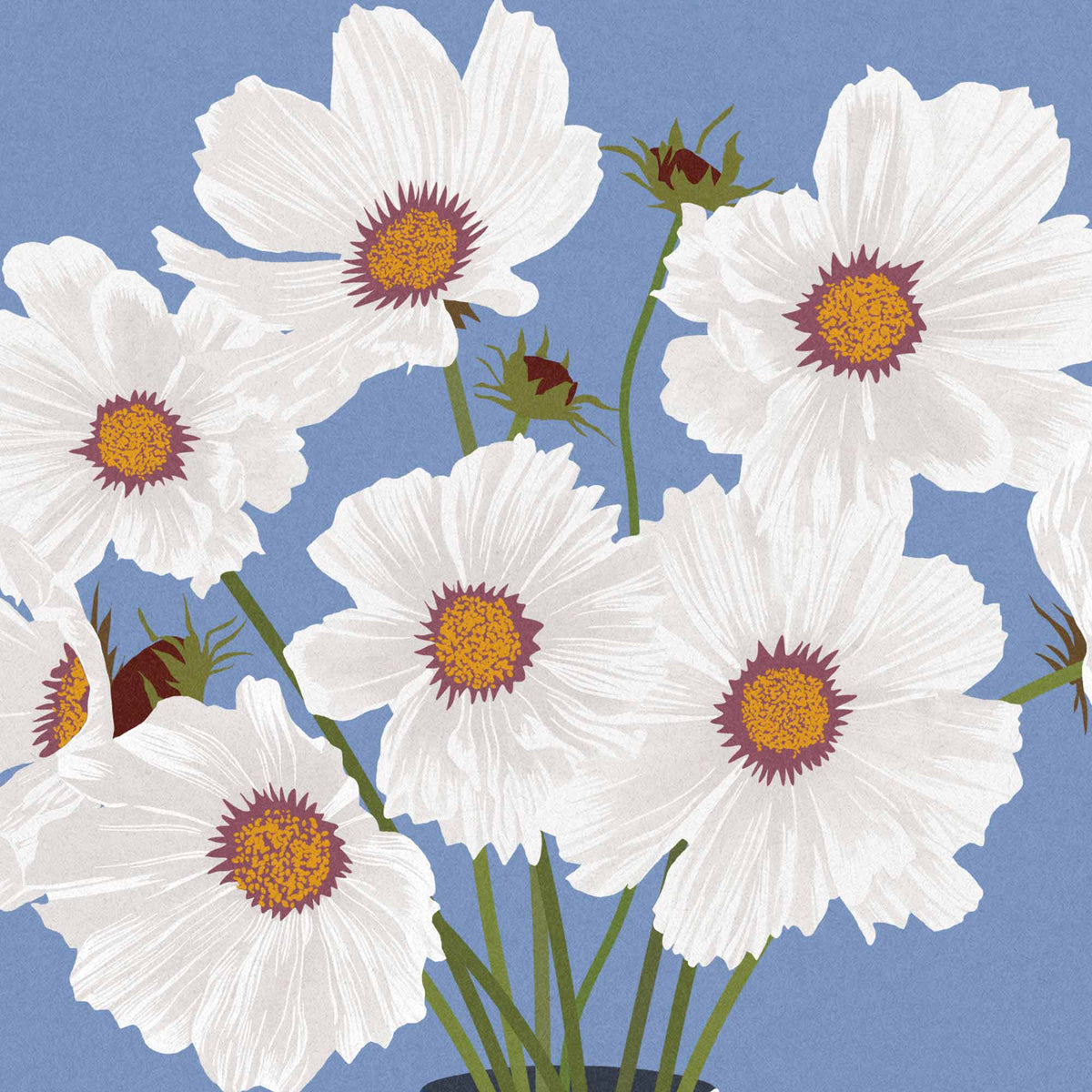 Cosmos Flowers – Modern Floral Art Print