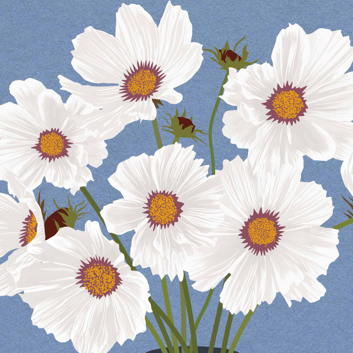A stylized floral illustration of white cosmos-like flowers with yellow-orange centers and burgundy-purple accents, set against a textured blue background.