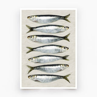 A whimsical fish art print featuring seven curious sardines peeking outward, perfect for kitchen decor.