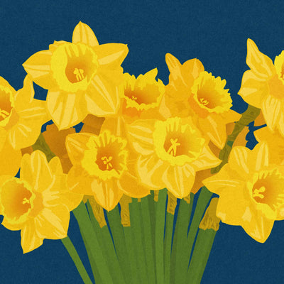 A stylized illustration of a dense cluster of yellow daffodils with green stems against a dark blue background.