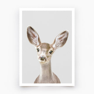 Deer Art Print