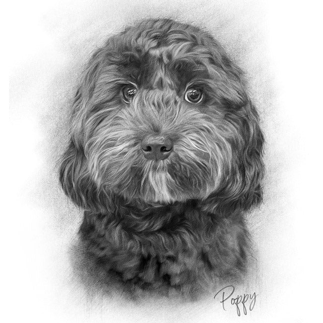 sketched image of a dog portrait
