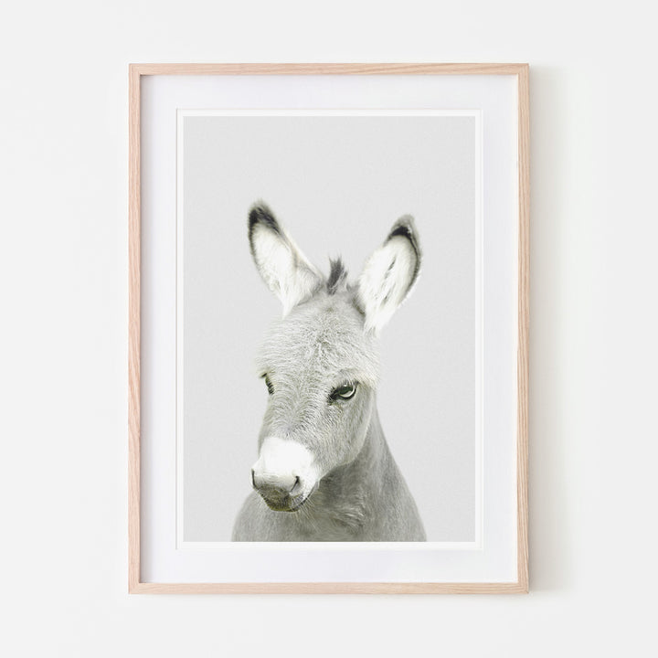 an art print of a donkey
