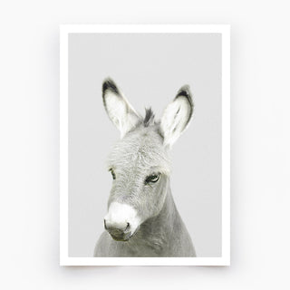 Donkey Art Print