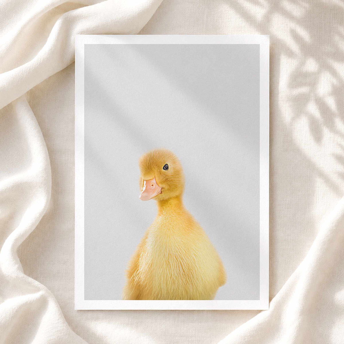 Duckling - Nursery Animal Print