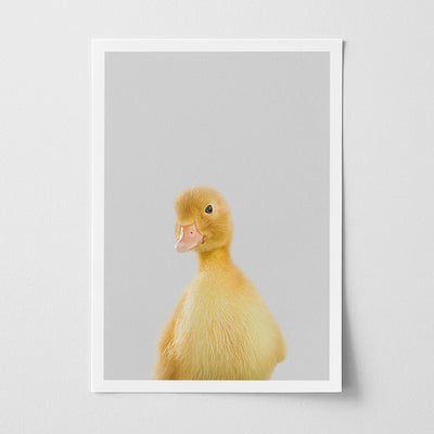 Duckling Nursery Print - Sweet Farmyard Bird Artwork for Baby Rooms