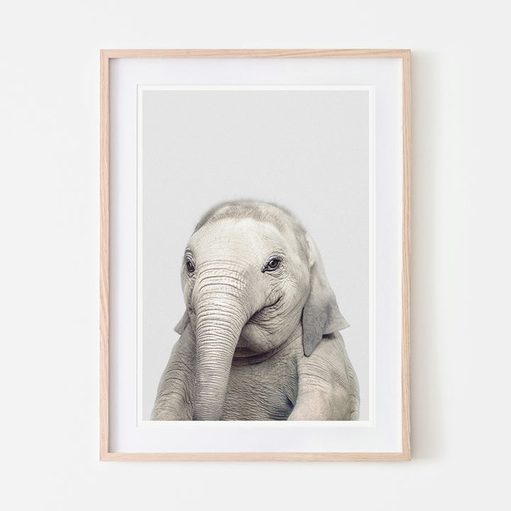 an art print of an elephant