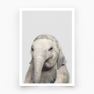 Elephant Art Print