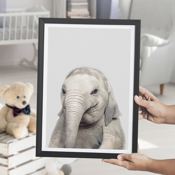 nursery animal prints elephant