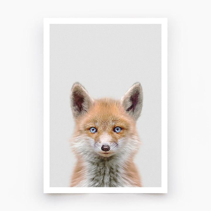 Fox Art Print