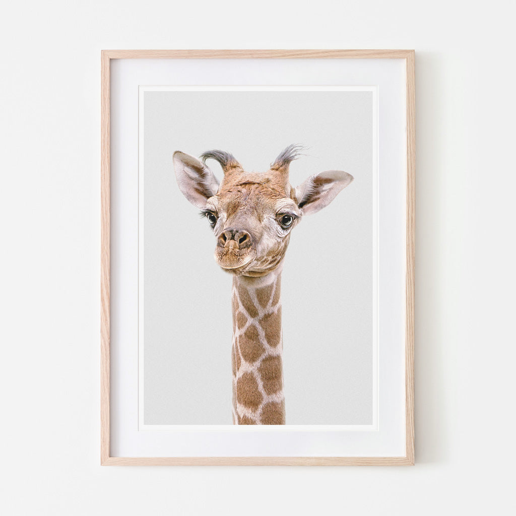 an art print of a giraffe
