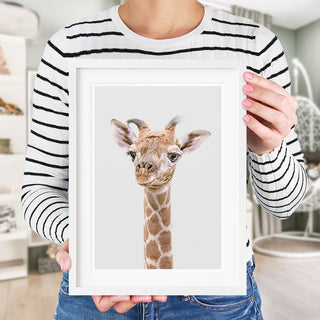 giraffe nursery decor 