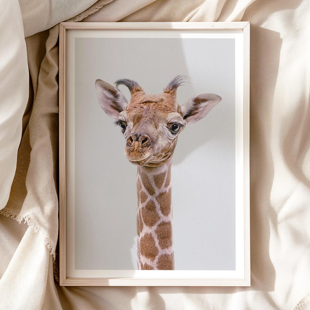 FRIENDLY GIRAFFE • Art print