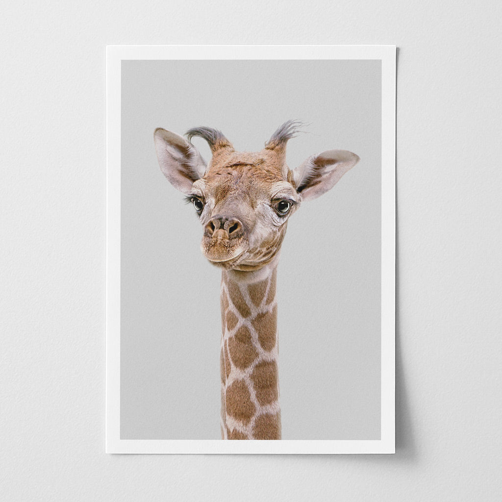 Giraffe Nursery Print - Tall Safari Animal Wall Art for Baby Rooms