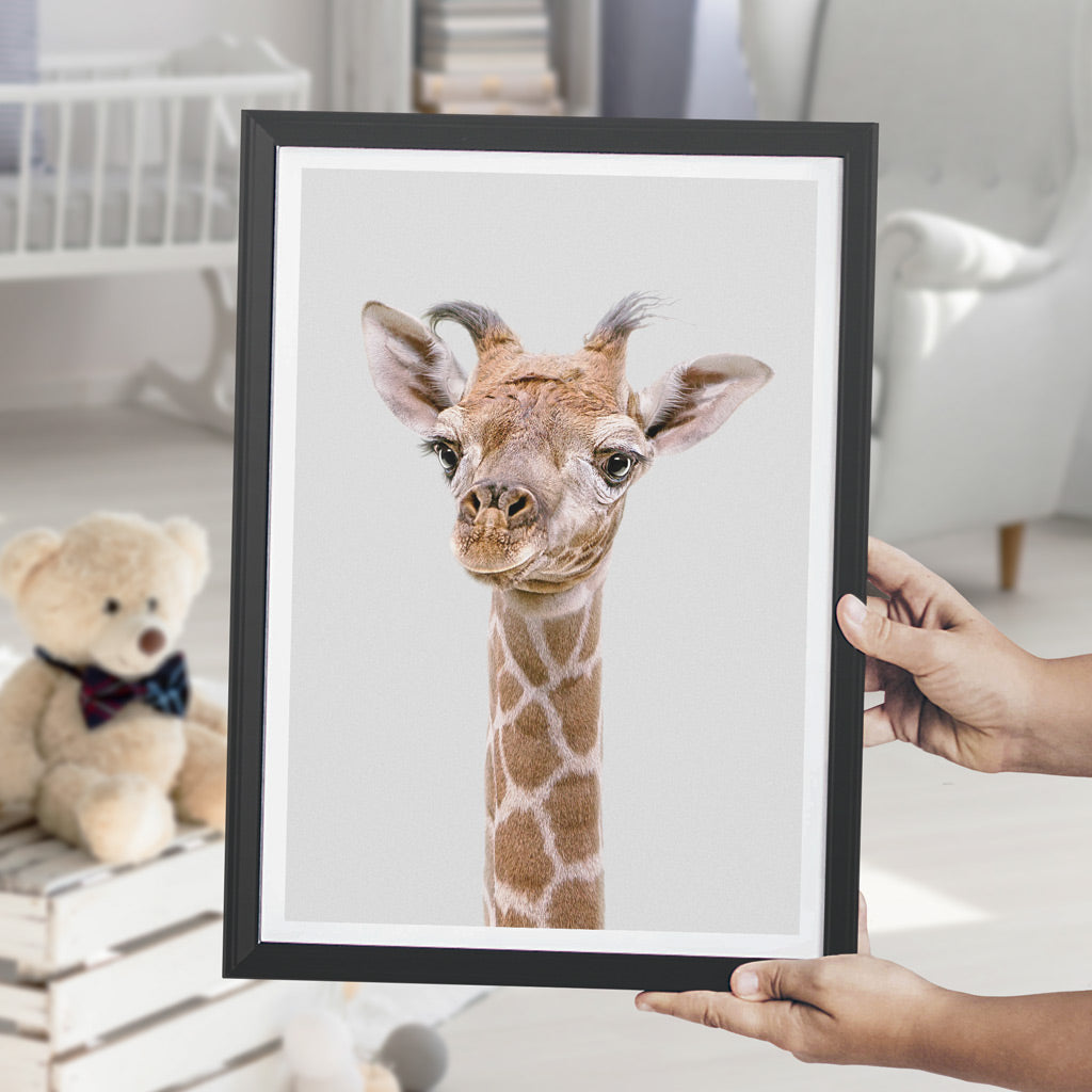 nursery animal prints giraffe