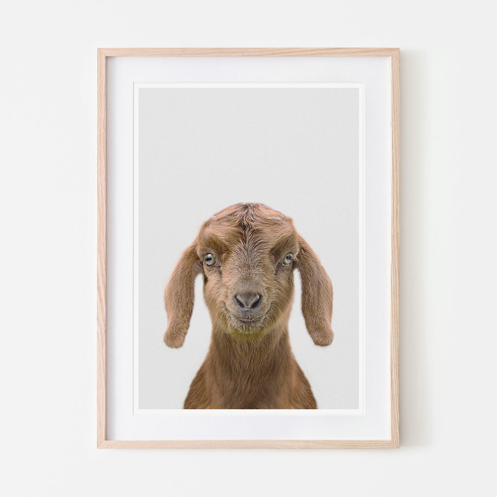 art print of a brown goat