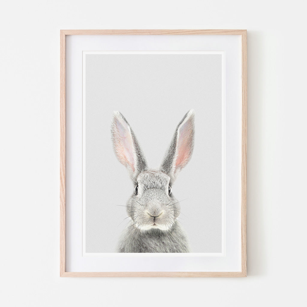 an art print of a grey bunny rabbit