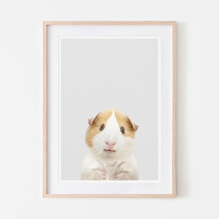 an art print of a guinea pig