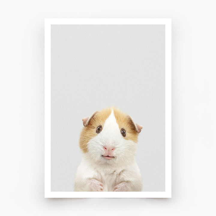 Guinea Pig Art Print