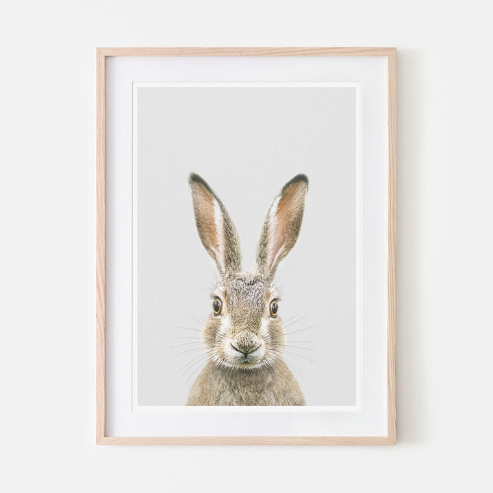 an art print of a hare