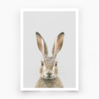 Hare Art Print