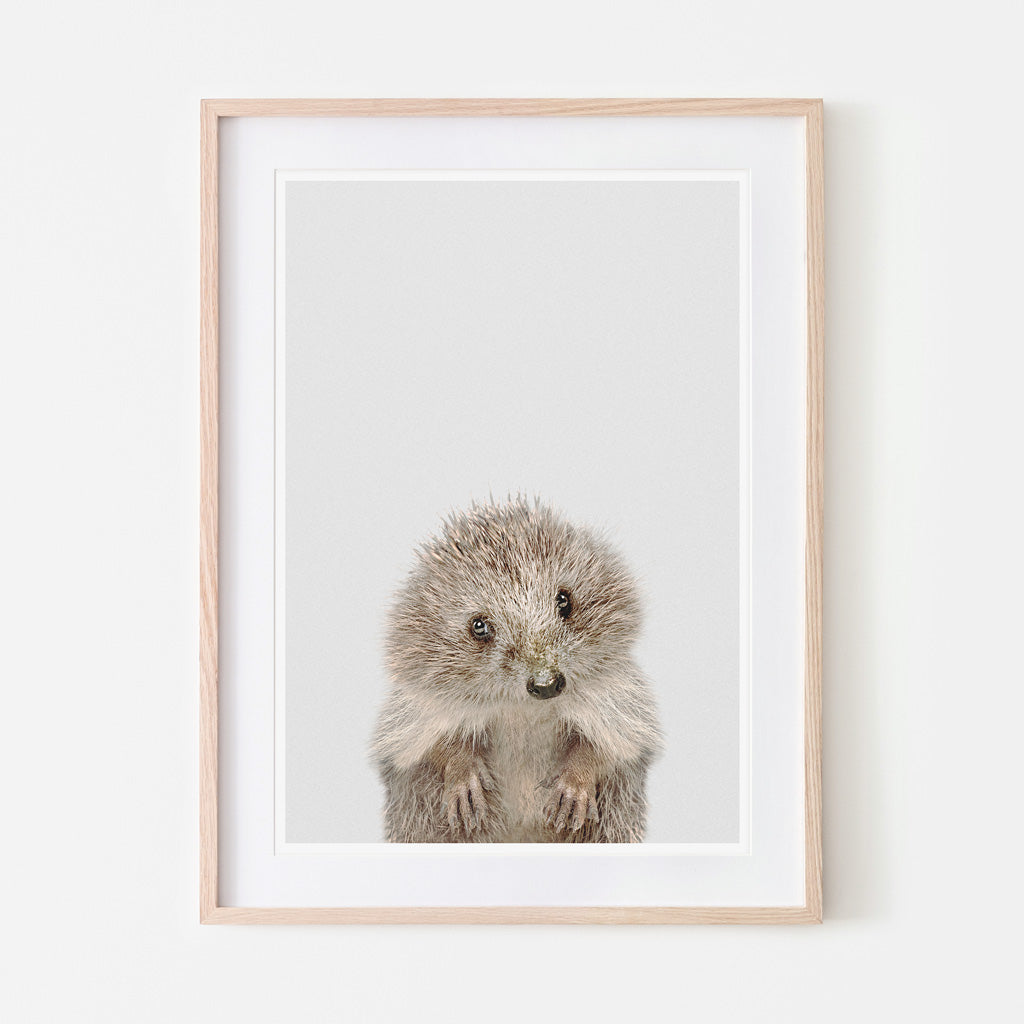an art print of a hedgehog