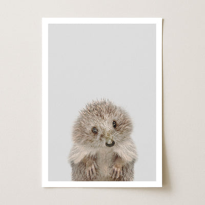 Hedgehog Nursery Print - Sweet Woodland Creature Artwork for Children