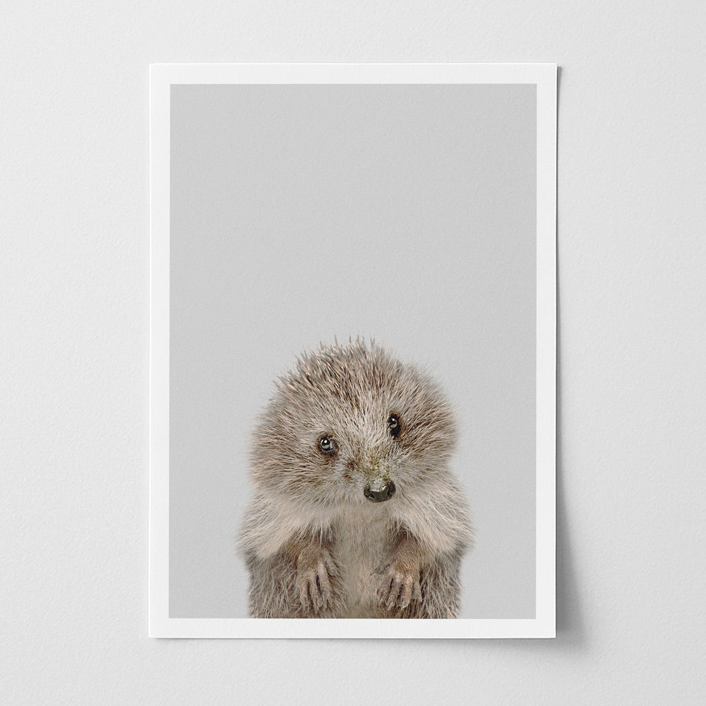 Hedgehog Nursery Print - Sweet Woodland Creature Artwork for Children