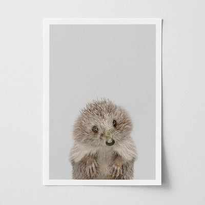 Hedgehog Nursery Print - Sweet Woodland Creature Artwork for Children